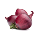 onion