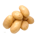 Potato